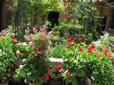 �ຣ��֮��