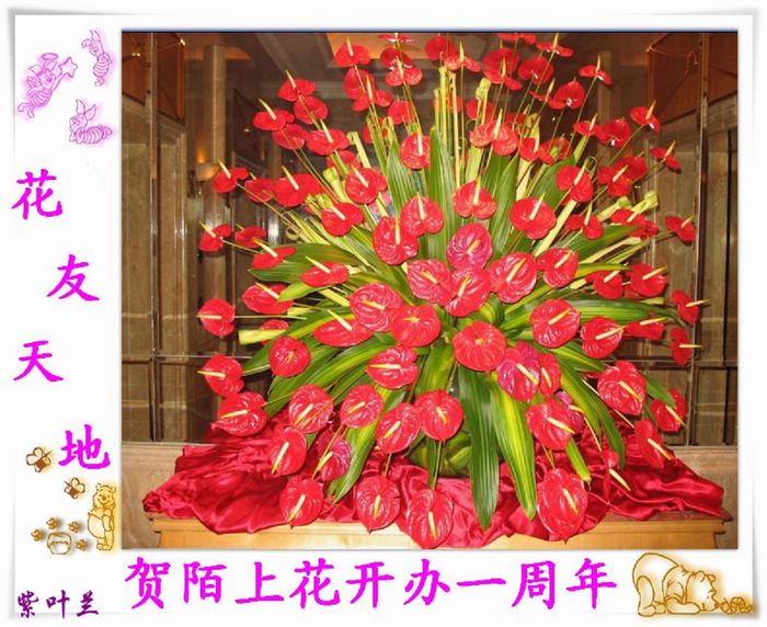 İ��һ������!(�н��)