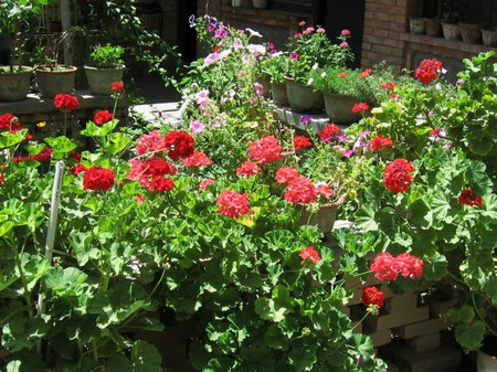 �ຣ��֮��