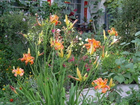 �ຣ��֮��