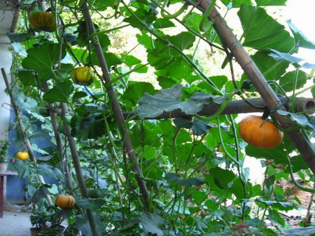 �ຣ��֮��