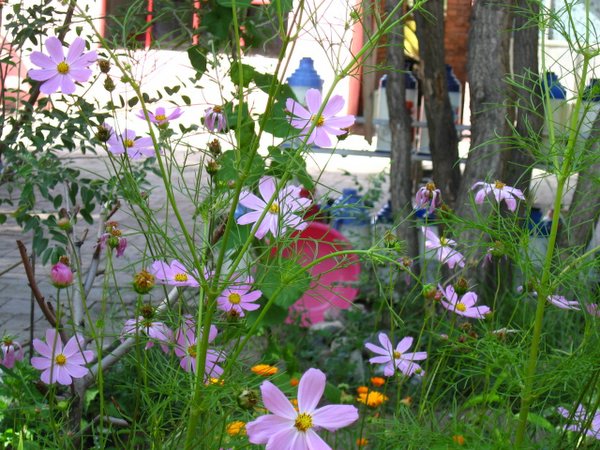 �ຣ��֮��