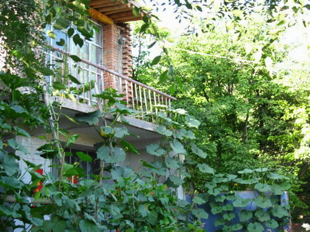 �ຣ��֮��