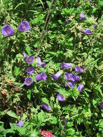 �ຣ��֮��