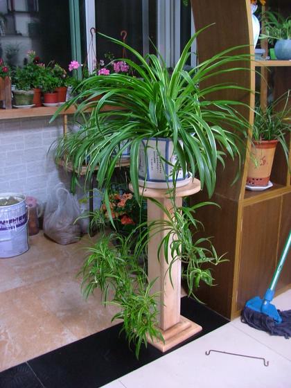 ��ʳ���������û�������(δ�����)