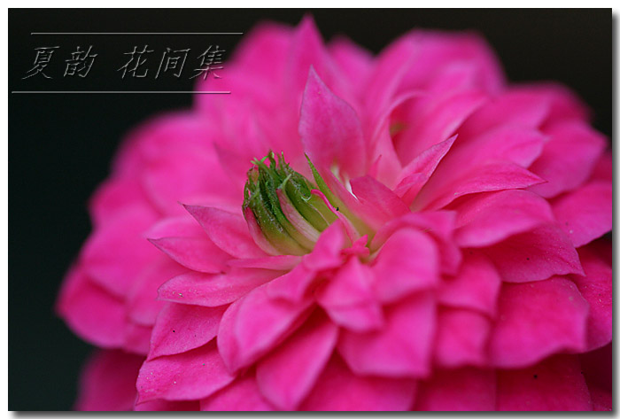 ���伯----�ҵ��¼���԰(�У�3���£�