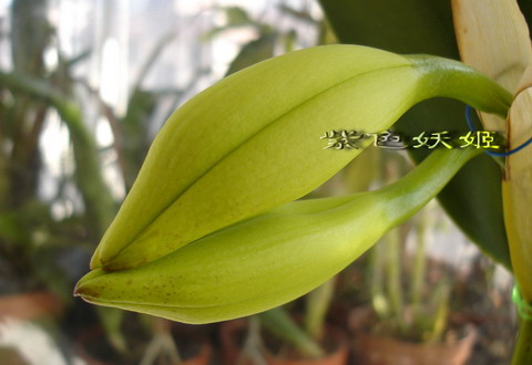 06�����������ñ�������У�