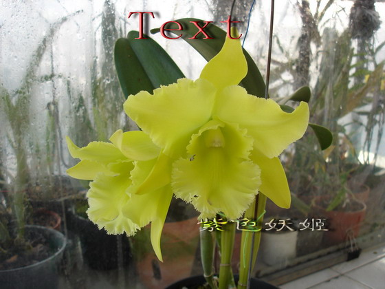 06�����������ñ�������У�