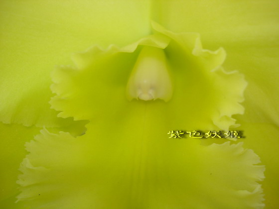 06�����������ñ�������У�