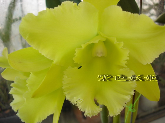 06�����������ñ�������У�