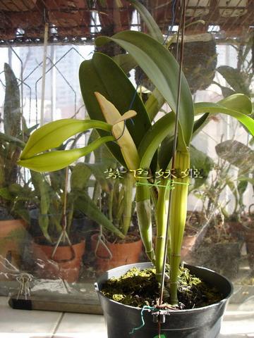 06�����������ñ�������У�