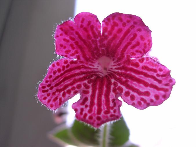 [����]����̦��������