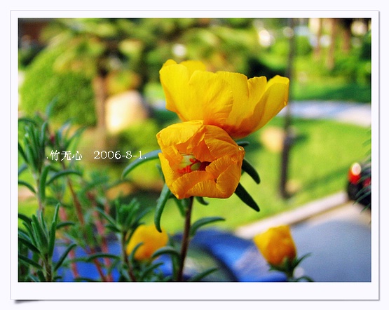 �ȵô�������...ֻ��̫������~