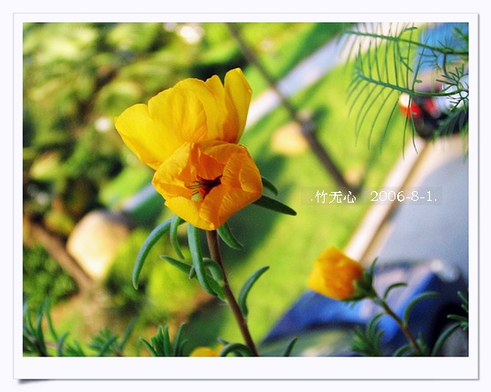 �ȵô�������...ֻ��̫������~