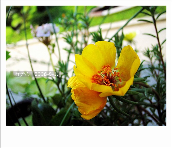 �ȵô�������...ֻ��̫������~