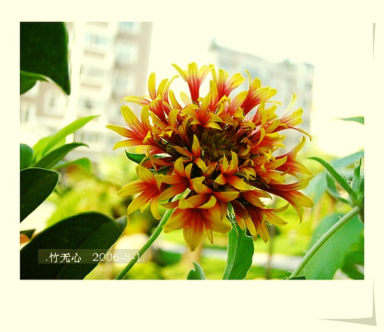 �ȵô�������...ֻ��̫������~