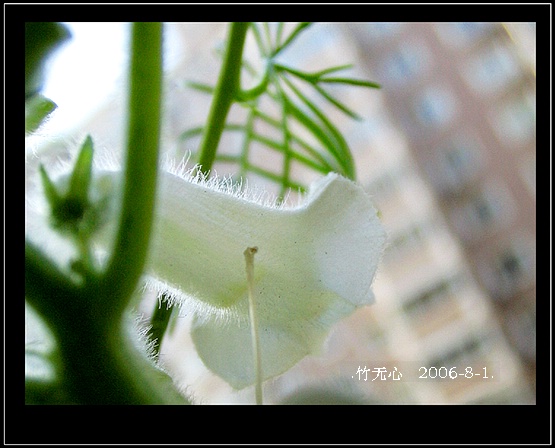 �ȵô�������...ֻ��̫������~