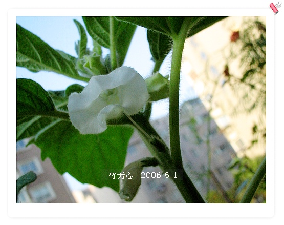 �ȵô�������...ֻ��̫������~