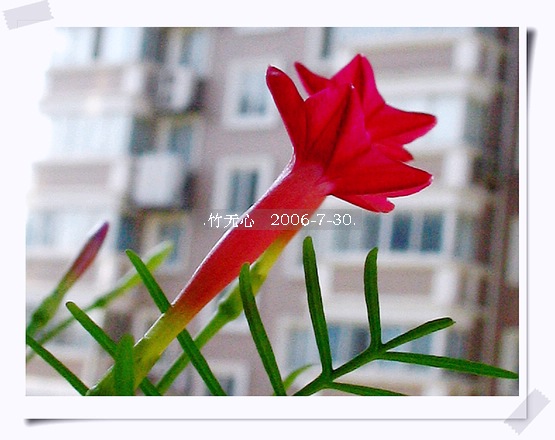 �ȵô�������...ֻ��̫������~