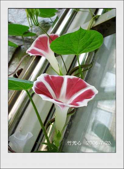 �ȵô�������...ֻ��̫������~