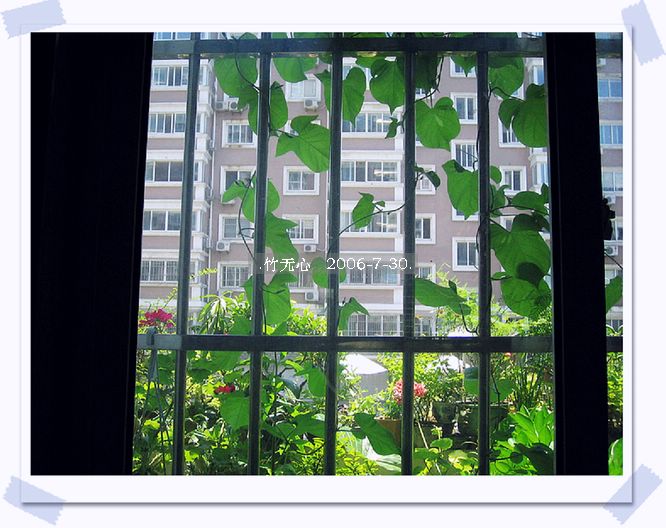 �ȵô�������...ֻ��̫������~