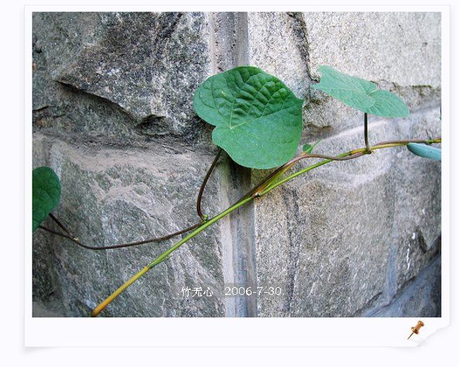 �ȵô�������...ֻ��̫������~