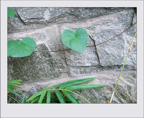 �ȵô�������...ֻ��̫������~