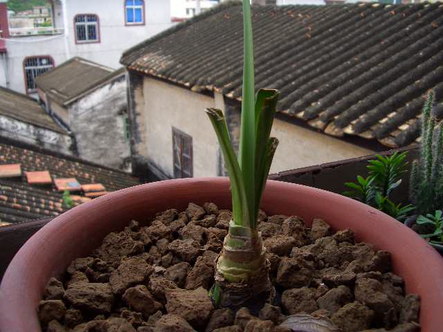 �ҵ��춥����