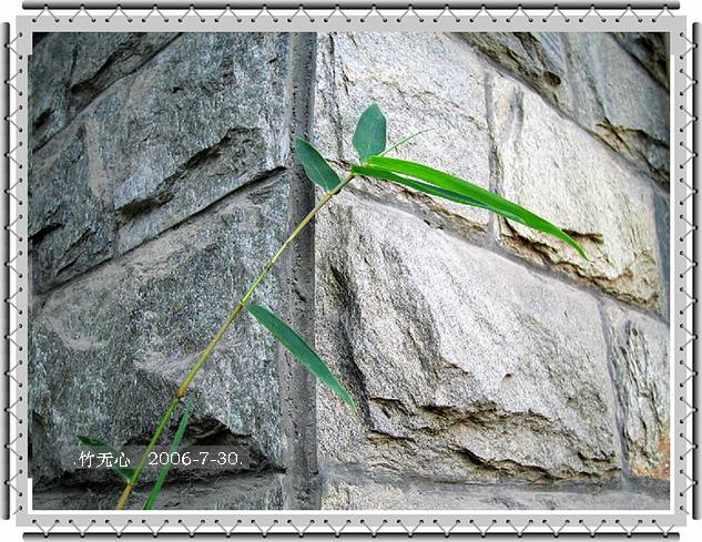 �ȵô�������...ֻ��̫������~