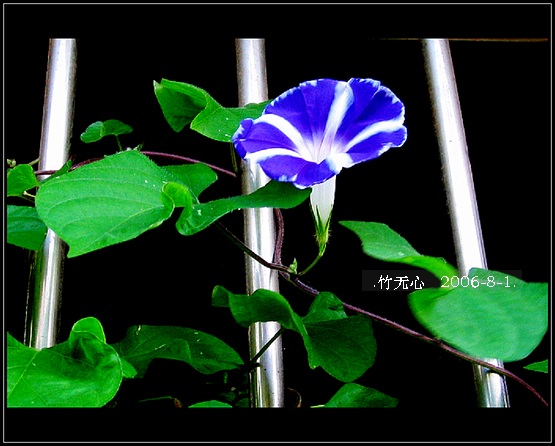 �ȵô�������...ֻ��̫������~