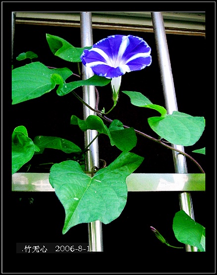 �ȵô�������...ֻ��̫������~