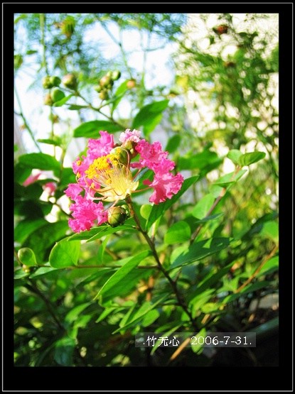 �ȵô�������...ֻ��̫������~