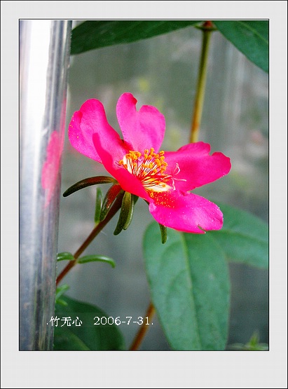 �ȵô�������...ֻ��̫������~