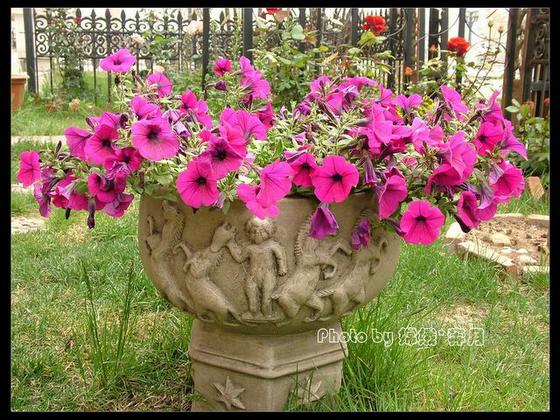 ��ʳ���������û�������(δ�����)