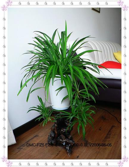 ��ʳ���������û�������(δ�����)