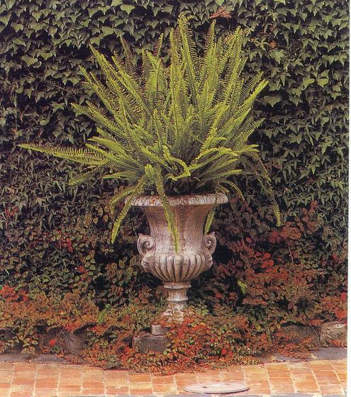 ��ʳ���������û�������(δ�����)