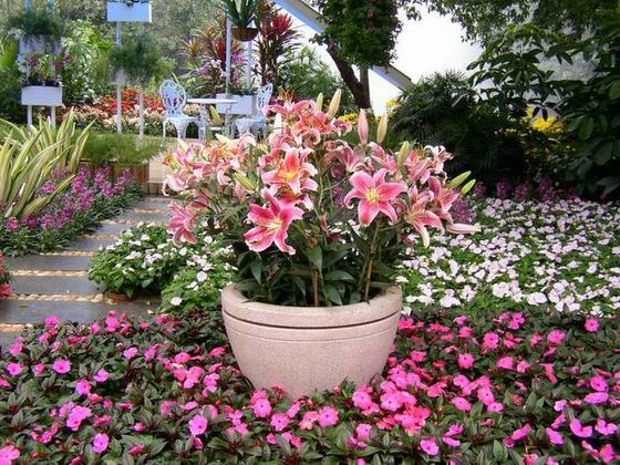 ��ʳ���������û�������(δ�����)