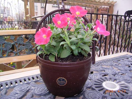 ��ʳ���������û�������(δ�����)