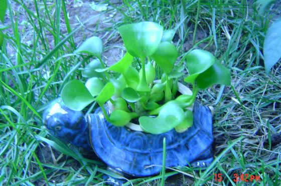 ��ʳ���������û�������(δ�����)