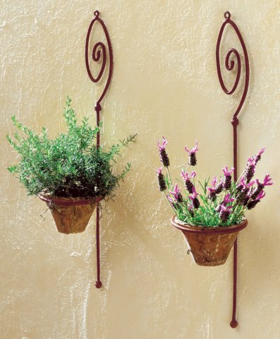 ��ʳ���������û�������(δ�����)