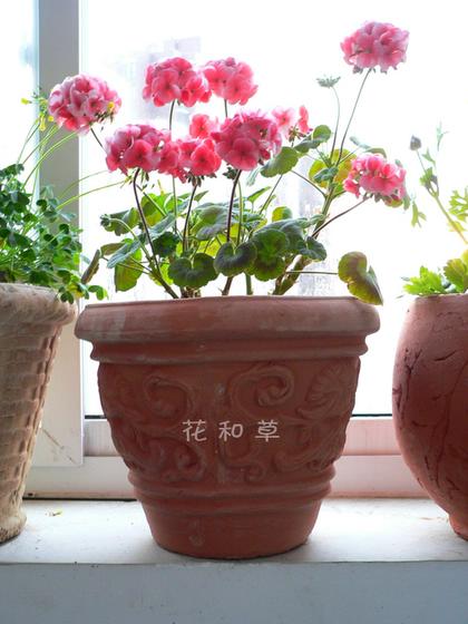 ��ʳ���������û�������(δ�����)