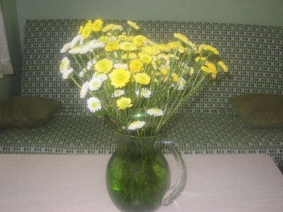 ��ʳ���������û�������(δ�����)