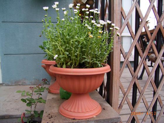 ��ʳ���������û�������(δ�����)