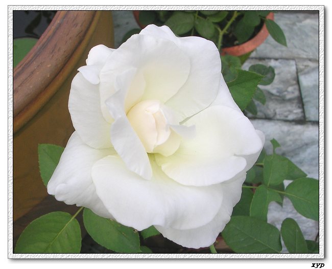 �Ҽһ��ڿ������¼�