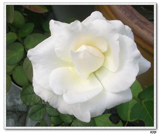�Ҽһ��ڿ������¼�