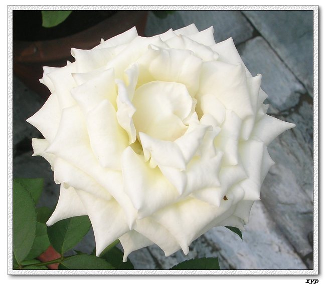 �Ҽһ��ڿ������¼�