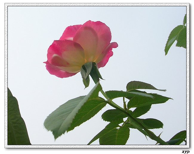 �Ҽһ��ڿ������¼�