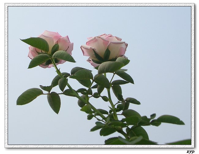 �Ҽһ��ڿ������¼�