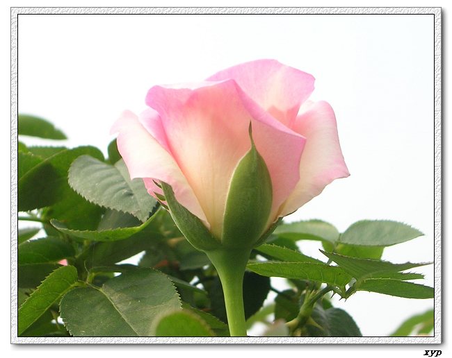 �Ҽһ��ڿ������¼�
