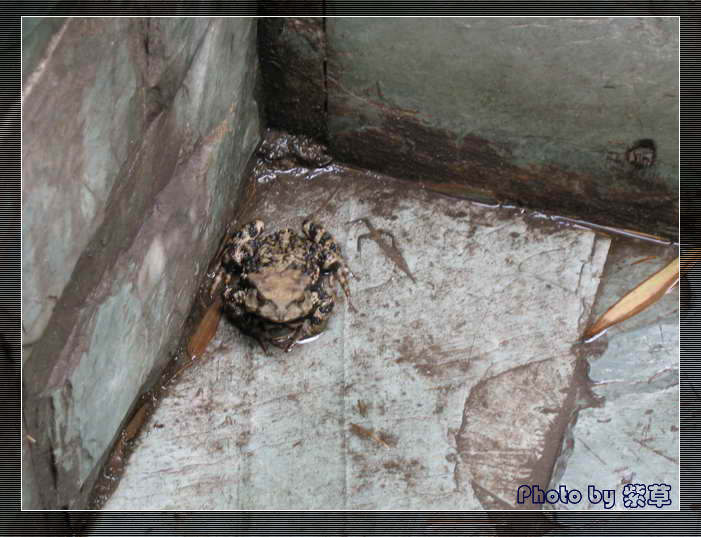 [ԭ��]��ʮ�����㲻�ϣ���������佻�Ϫ��